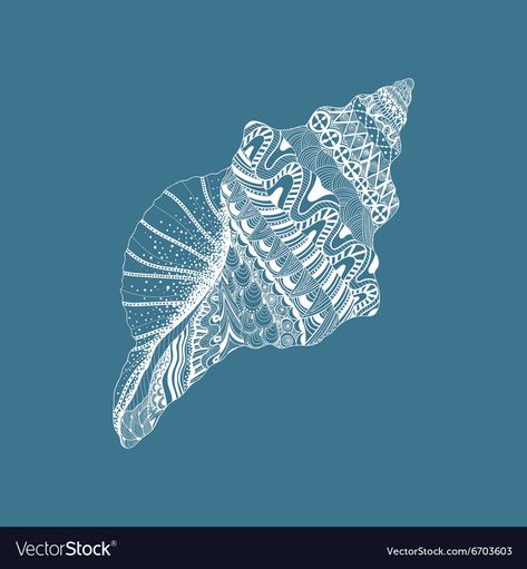 Drawing Seashells, Seashell Illustration, Background Sketch, Seashell Collection, Frame Structure, Hand Drawn Vector, Cricut Projects Vinyl, Zentangle Patterns, Abstract Nature