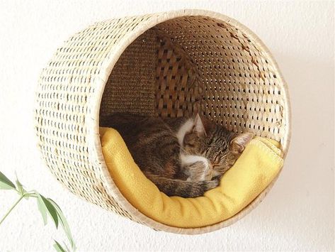 Katt Diy, Ikea Basket, Katt Grejer, Diy Cat Bed, Chat Diy, Kat Diy, Cat House Diy, Cat Shelves, Cat Room