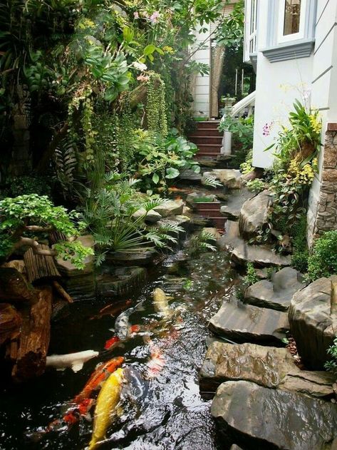 Indoor Pond, Kolam Koi, Modern Garden Design, Aquaponics System, Home Garden Design, Front Lawn, Ponds Backyard, Gorgeous Gardens, Backyard Design