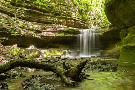 Starved Rock State Park, Illinois Travel, Picnic Spot, Deer Park, Summer Road Trip, Cross Country Skiing, Best Hikes, Trip Ideas, Water Fountain