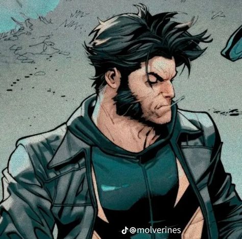 James Howlett Comic, Wolverine Comic Icons, Logan Howlett Comic, Wolverine Xmen Comics, Comic Wolverine, Wolverine Marvel Comics, Wolverine Icon, Logan Wolverine Hugh Jackman, Wolverine Comic Art