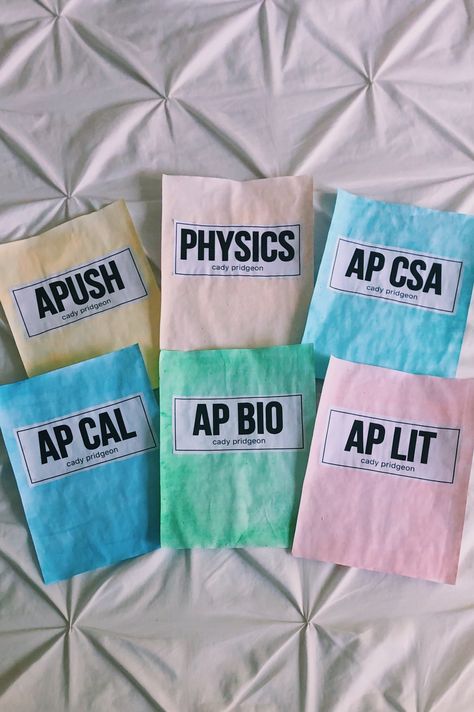 School Binders, School Highschool, School Binder, Binder Covers, Ap Art, School Organization, Binders, School Crafts, School Supplies