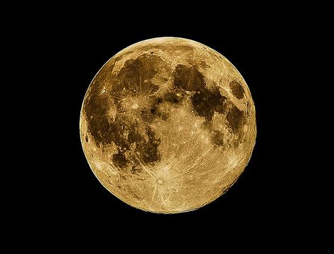 Yellow Moon, Full Moon Ritual, Barn Painting, Space Photography, Look At The Moon, Moon Moon, Moon Garden, Moon Photography, Wolf Moon