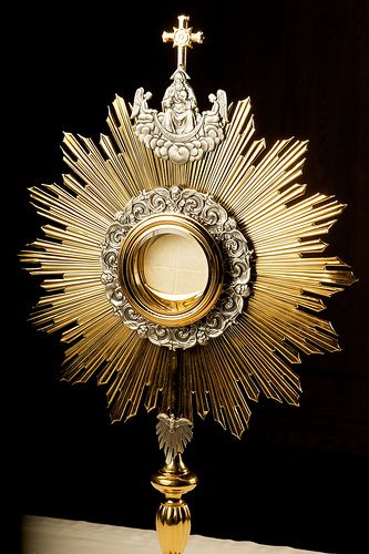 Lord Jesus I come before Thee to adore and love, to thank Thee and to gaze upon Thy immense beauty Eucharistic Adoration, Agnus Dei, Religious Pictures, Catholic Images, Divine Mercy, Jesus Christus, Roman Catholic Church, Eucharist, Catholic Prayers