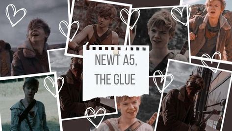 Maze Runner Laptop Wallpaper, Newt Aesthetic, Notebook Wallpaper, Wallpaper Notebook, Newt Maze Runner, Laptop Backgrounds, Thomas Sangster, Fandoms Unite, Brodie Sangster