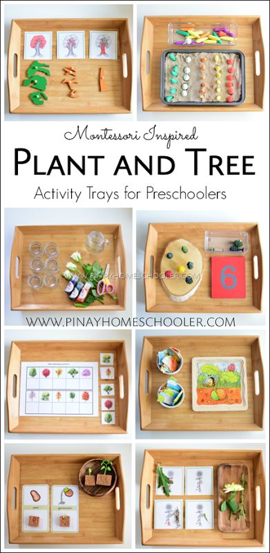 Farm Activities For Preschoolers, Tree Activity, Montessori Trays, Montessori Activities Preschool, Farm Theme Preschool, Montessori Science, Montessori Lessons, Farm Preschool, Montessori Homeschool