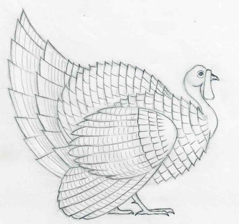 Turkey Sketch Easy, Turkey Bird Drawing, Turkey Drawing Easy, Bird Drawings Easy, Turkey Sketch, Sketches Realistic, Draw A Turkey, Detailed Sketches, Thanksgiving Drawings