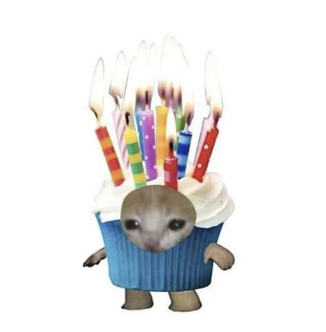 Its a cupcake cat :3 Playing Games, Fun Games, Group Chat, Cupcake, Building, Birthday