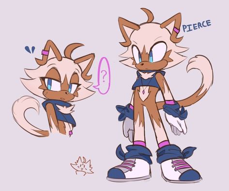 Cartoon Art Styles Inspiration, Sonic Project, Diy Dragon Costume, Matching Jackets, Sonic Ocs, How To Draw Sonic, Sonic Underground, Sonic Oc, Sonic Mania