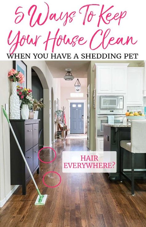 Worried about dog hair everywhere? Don’t let that stop you from adopting a pet. Here are 5 tips for keeping the house clean when you have a shedding dog or cat!   #housecleaning #cleaningtips #clean #petcare Keeping A Clean House, Homemade Toilet Cleaner, Keep Your House Clean, Clean Baking Pans, Cleaning Painted Walls, Glass Cooktop, Deep Cleaning Tips, Dog Shedding, Clean Dishwasher