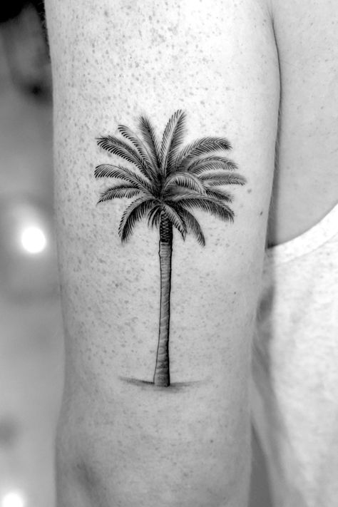 Florida Palm Tree Tattoo, Palm Tree Silhouette Tattoo, Detailed Palm Tree Tattoo, Realism Palm Tree Tattoo, Color Palm Tree Tattoo, Needle Palm Tree, Abstract Palm Tree Tattoo, Date Palm Tree Tattoo, Palm Tree Moon Tattoo