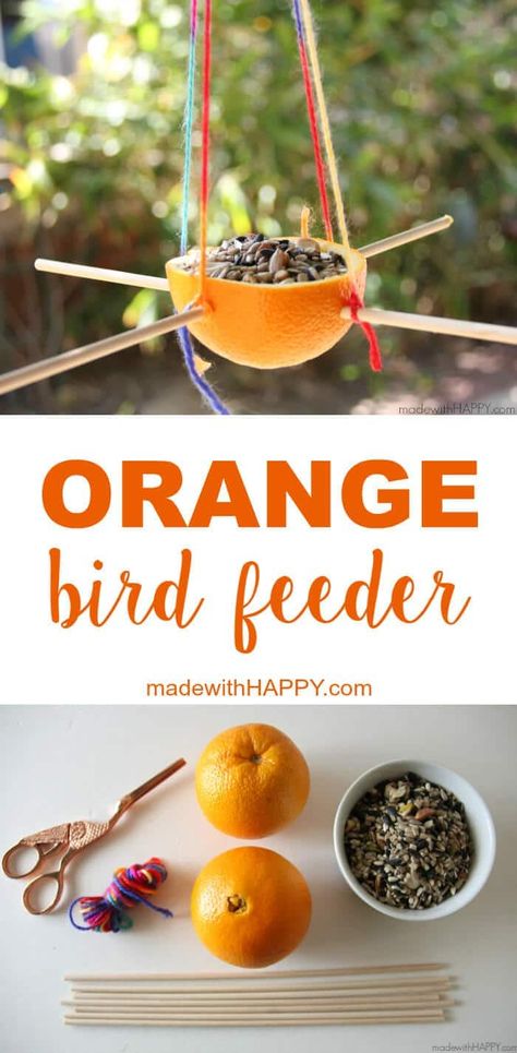 Making A Bird Feeder, Bird Feeders For Kids, Bird Feeders For Kids To Make, Summer Boredom Busters, Make A Bird Feeder, Summer Boredom, Winter Diy Crafts, January Crafts, Homemade Bird Feeders