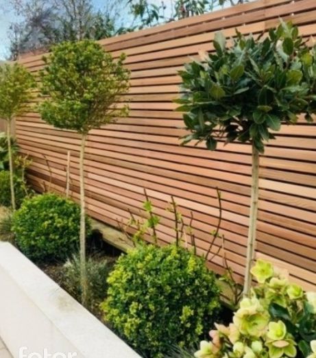 Slatted Fence Front Garden, Garden Wall Wood Cladding, Modern Garden Fencing, Garden Fencing Design, Garden Slatted Fence, Slat Fencing Horizontal, Cedar Wall Exterior, Courtyard Fencing Ideas, Red Cedar Fence