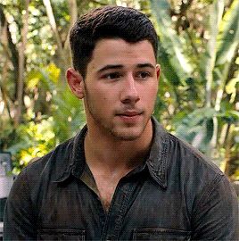 Nick Jonas Gif, Nick Jonas, Gif