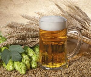 The ancient origins of beer #beer #beereducation Beer Wallpaper, Beer Ingredients, Beer History, Beer Pictures, Homemade Beer, Cocoa Beans, Malted Barley, Beer Recipes, Craft Brewery