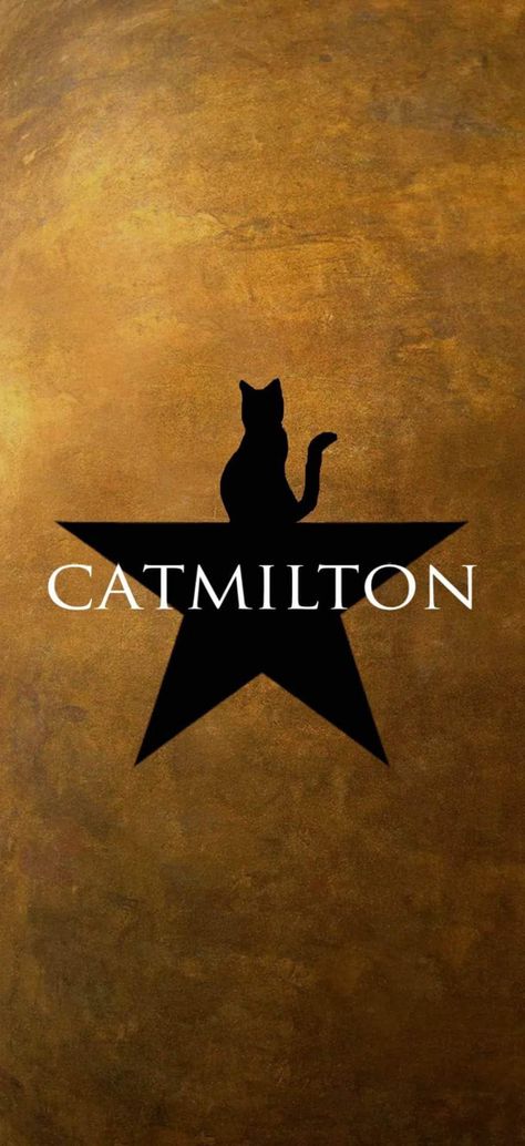 Hamilton the musical  but it data catmilton Hamilton Background Iphone, Hamilton Phone Wallpaper, Lin Manuel Miranda Wallpaper, Hamilton Musical Wallpaper, Edited Wallpaper, Hamilton Background, Musical Wallpaper, Hamilton Wallpaper, Hamilton Funny