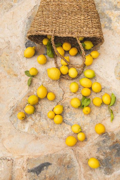 Citron Aesthetic, Lemon Aesthetic, Mommy And Me Photo Shoot, Summer Backgrounds, Outdoor Restaurant, Instagram Feed Ideas, Lemon Tree, Yellow Aesthetic, Lemon Drop