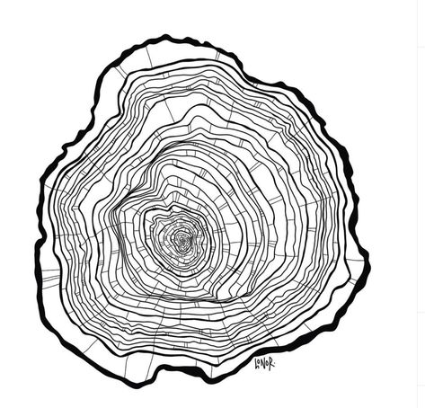 Tree Rings Tattoo, Tree Trunk Tattoo, Tree Ring Drawing, Tree Ring Tattoo, Black Line Tattoo, Graphic Design Newspaper, Urban Tree, Art Alevel, Graphic Design Cards