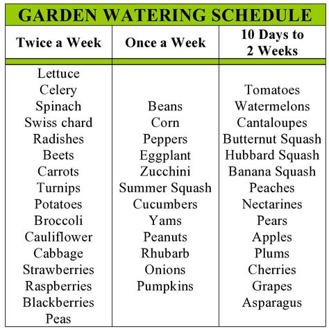 Vegetable Garden Plant List, Gardening Schedule Calendar, South Carolina Gardening Schedule, Zone 7b Planting Schedule Vegetables, Zone 3b Planting Schedule, Monthly Gardening Schedule, Garden Schedule Calendar, When To Water Vegetable Garden, Zone 8b Planting Schedule Vegetables