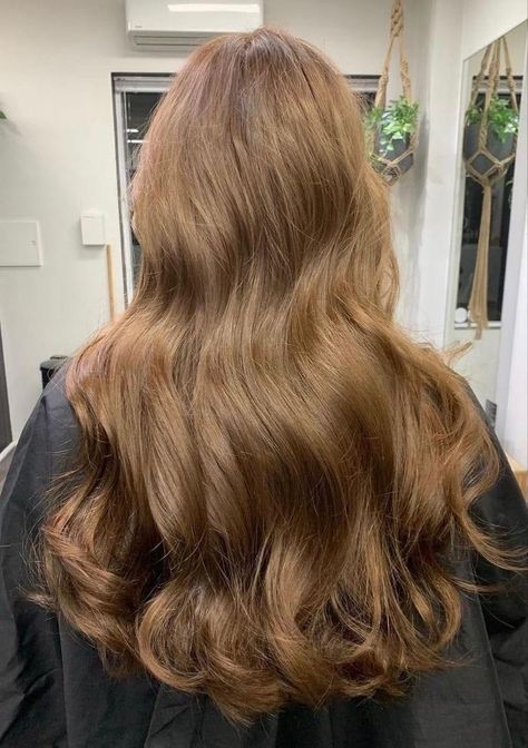 Fall Balayage Brunette, Golden Hair Color, Honey Brown Hair Color, Fall Balayage, Golden Brown Hair Color, Rambut Brunette, Honey Hair Color, Golden Brown Hair, Hair Color Underneath