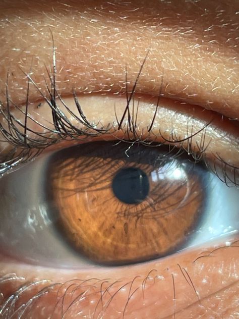 Chocolate Eyes Color, Light Brown Eye Color, Brown Eye Drawing, Chestnut Brown Eyes Colour, Chestnut Eyes, Deep Brown Eyes Aesthetic, Cognac Brown Eyes, Chocolate Brown Eyes, Amber Brown Eyes Aesthetic