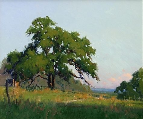 Noe Perez - Morning Light- Oil - Painting entry - March - April 2009 | BoldBrush Painting Competition Environment Study, Painting Competition, Pastel Landscape, Landscape Art Painting, Watercolor Landscape Paintings, Artwork Images, Plein Air Paintings, Pastel Art, Online Painting