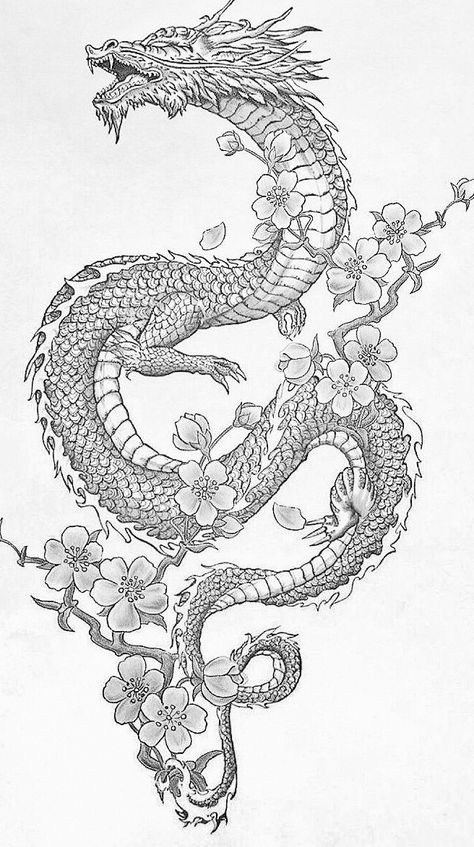 Dragon Tattoo For Women Design, Chinese Dragon Tattoo Drawing, Chinese Dragon Tattoos Forearm, Thai Dragon Tattoo Designs, Dragon And Cherry Blossom Tattoo Designs, Feminine Dragon Tattoo For Women Back, Dragon Tattoo Around Leg, Chinese Dragon Tattoos Thigh, Dragon Tail Tattoo