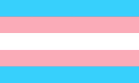 Queer Pride Flag, Transgender Day Of Visibility, Lgbt Flags, Trans Pride Flag, Trans Flag, Between Two Worlds, Lgbt Flag, Lesbian Flag, Lgbtq Flags