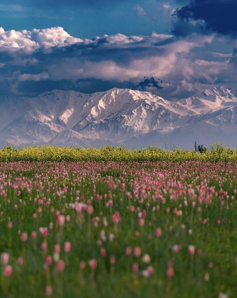 Kashmir Wallpaper, Afghanistan Landscape, Kedarnath Temple, Tourism Photography, Kashmir Trip, Kashmir Valley, City Streets Photography, Delhi Travel, Valley Of Flowers