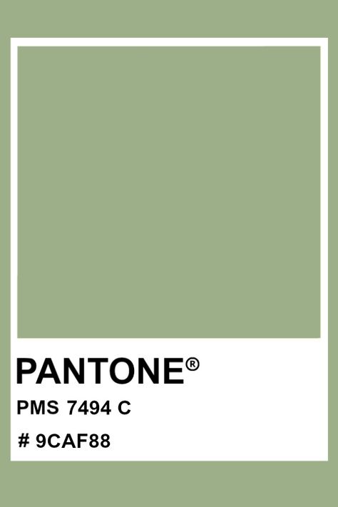 PANTONE 7494 C #pantone #color #PMS #hex Pantone Tcx, Pantone Green, Pantone Matching System, Pantone Color Chart, Pantone Swatches, Pantone Palette, Pantone Colour Palettes, Color Chip, Color Pallets