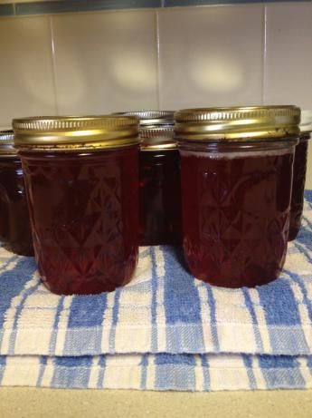 Peach Peeling-Peach Seed Jelly or here  http://www.freshpreserving.com/recipes/peach-jelly-liquid-pectin Beet Jelly Recipe, Beet Jelly, Cactus Recipes, Prickly Pear Jelly, Prickly Pear Recipes, Pear Jelly, Peach Jelly, Canning Fruit, Canning Ideas