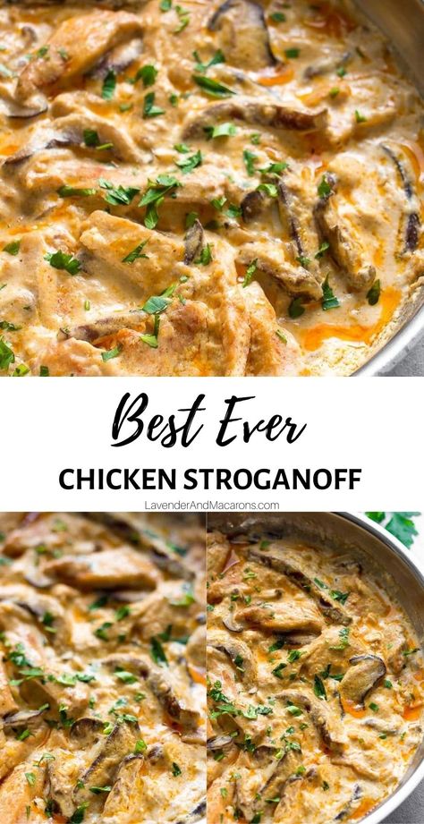 Chicken In Sour Cream Sauce, Sour Cream Chicken Recipes Easy, Chicken Pasta Recipes With Sour Cream, Chicken With Sour Cream Sauce, Chicken Mushroom Sour Cream Recipes, Sour Cream Chicken And Rice, Cream Of Chicken Sauce Recipes, Chicken Recipe With Sour Cream, Creamed Chicken Over Rice