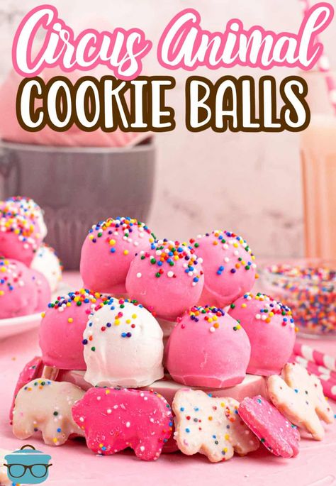 Easy Dessert Balls, Food Shaped Like Balls, Animal Cookie Dessert, Animal Cookie Truffles, Fun Desserts To Make, Cookie Balls Recipe, Circus Cookies, Cake Ball Recipes, Circus Animal Cookie