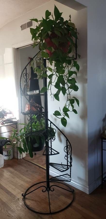 Spiral Staircase Plant Stand, Spiral Plant Stand, Plant Lattice, Window Plant Stand, Spiral Plant, Iron Plant Stand, Tall Plant, Tall Plant Stands, Window Plants