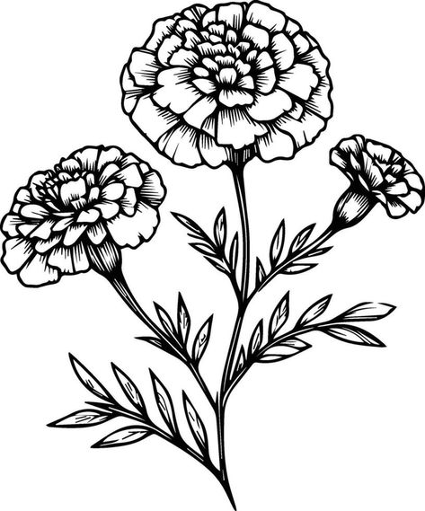 Marigold And Cosmos Flower Drawing, Drawing Marigold Flowers, Marigold Flower Drawing, Marigold Drawing, Marigold Art, Spring Elements, Marigold Tattoo, Primrose Flower, Yellow Marigold