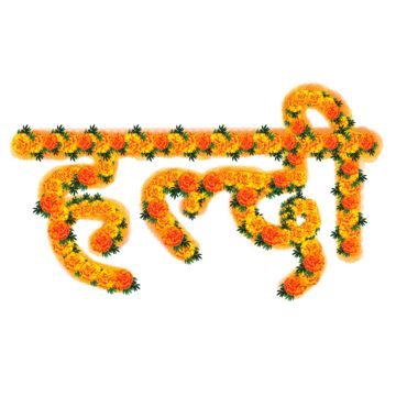 Haldi Png Images, Haldi Background Illustration, Haldi Elements, Wedding Haldi Decoration, Haldi Illustration, Haldi Caricature, Haldi Flowers, Marriage Png, Hindi Typography