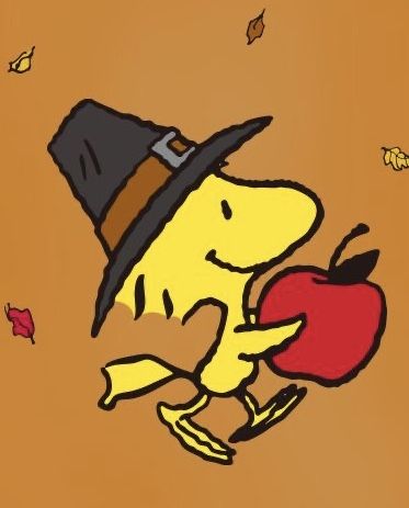 Snoopy And Woodstock Thanksgiving, Pumpkin Charlie Brown, Thanksgiving Widget Pictures, Fall Peanuts Aesthetic, Woodstock From Charlie Brown, Snoopy The Great Pumpkin, Snoopy Halloween Drawing, Charlie Brown Thanksgiving Printables, Snoopy And Woodstock Fall