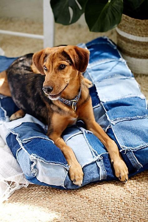 Denim Dog Bed, Återvinna Jeans, Old Jeans Recycle, Artisanats Denim, Jean Diy, Recycling Activities, Patched Denim, Denim Crafts Diy, Repurposed Denim