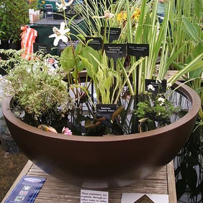 Container Pond With Fish, Container Fish Pond, Container Pond Ideas, Bucket Pond, Pot Pond, Patio Ponds, Container Pond, Mini Pond, Pond Kits