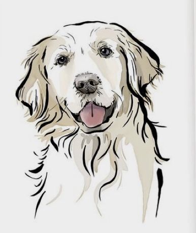 Golden Retriever Portrait, Golden Retriever Wall Art, Golden Retriever Drawing, Golden Retriever Painting, Tatoo Dog, Golden Retriever Breed, Golden Retriever Art, Dog Diy, Puppy Art