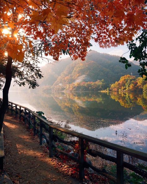 Namiseom Island, Nami Island Autumn, Autumn In Korea, Nami Island, Chuncheon, South Korea Travel, Countries In The World, Korea Travel, Autumn Scenery