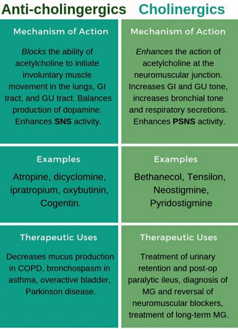 Autocoids Pharmacology, Mechanism Of Action Pharmacology, Antimalarial Pharmacology, Amphetamines Pharmacology, Pharmacology Aesthetic, Autonomic Nervous System Pharmacology, Paramedic Aesthetic, Pharmacy Inspiration, Medical Suffixes