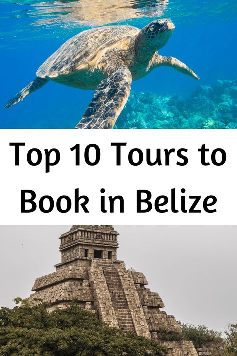 Top 10 Tours to Book in Belize - Forever Traveling Belize Vacations, Best Scuba Diving, Overwater Bungalows, Belize Travel, Top Travel Destinations, Scuba Diving, Belize, The Land, Places Ive Been