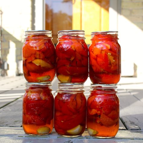 Roasted Pickled Red Peppers Red peppers are delicious raw and fresh but when you roast them, their sweetness intensifies. Pickling roasted red peppers with white wine vinegar and garlic takes them to the next level of deliciousness! So, if you love peppers don't miss out on this simple and easy Pickled Roasted Red Peppers, Canned Cauliflower, Canning Roasted Red Peppers, Pickled Red Peppers, Pickled Peppers, Pierogi Recipe, Pickling Salt, Breakfast Waffles, Oven Canning