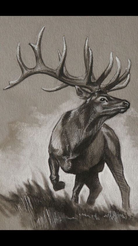 Nature Tattoo Sketch, Tattoo Ideas Animals, Elk Drawing, Elk Tattoo, Elk Pictures, Deer Tattoo Designs, Nature Tattoo Ideas, Deer Drawing, Nature Tattoo