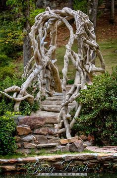 Driftwood Arbor, Wisteria Vines, Rustic Arbor, Garden Archway, Rustic Fence, Grist Mill, Wooden Arch, Backyard Pergola, Woodland Garden