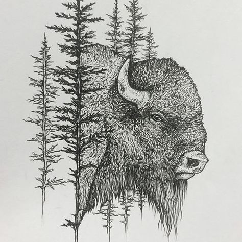 Native Buffalo Tattoo, Buffallo Art, Buffalo Wood Burning, Bison Tattoo Ideas For Women, Buffalo Head Tattoo, Bison Tattoo Ideas, Buffalo Tattoo Ideas, Buffalo Tattoos, Bison Drawing