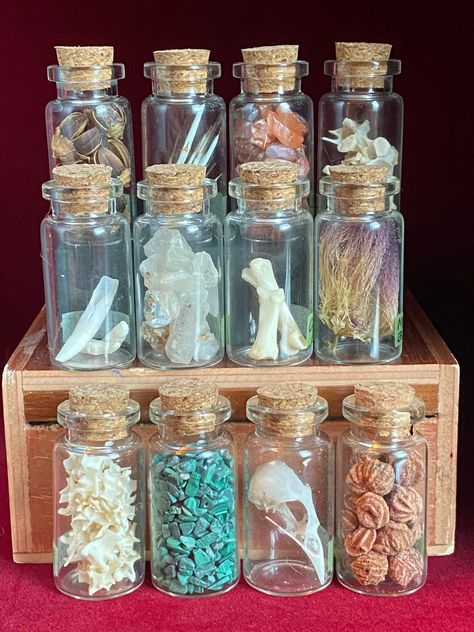 This listing is for a nature lovers oddity set where all the specimens are in mini glass bottles with cork tops. The bottles measure 2" tall x 0.75" wide.  All bottles are labeled with small piece of green tape that is easily removable. The cork top is not glued in.  Choose a mystery set of 3, 5, 7, or lucky 13 bottles!  Please note items inside bottles may be different than shown in photos. All contents have been hand foraged in the wilderness. No animals were harmed.  Specimens in bottles could include - rocks & minerals crystals real skulls & bones animal teeth  botanical items wildflowers porcupine quills seashells & other natural oddities Wunderkammer Cabinet, Oddities Collection, Real Skull, Animal Teeth, Porcupine Quills, Glass Bottles With Corks, Mini Glass Bottles, Real Bones, Lucky 13