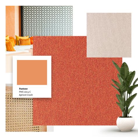 MOODBOARD TREND COLOUR | This year's trend colour is Apricot Crush. A smooth pastel pink with a touch of orange. Get inspired with our Cobalt SDN collection colour 64038! 👉 https://www.tapibel.be/collections/cobalt-sdn Apricot Crush, Pantone Trends, Crush A, Qatar Doha, Doha, Qatar, Color Trends, Pastel Pink, Mood Boards