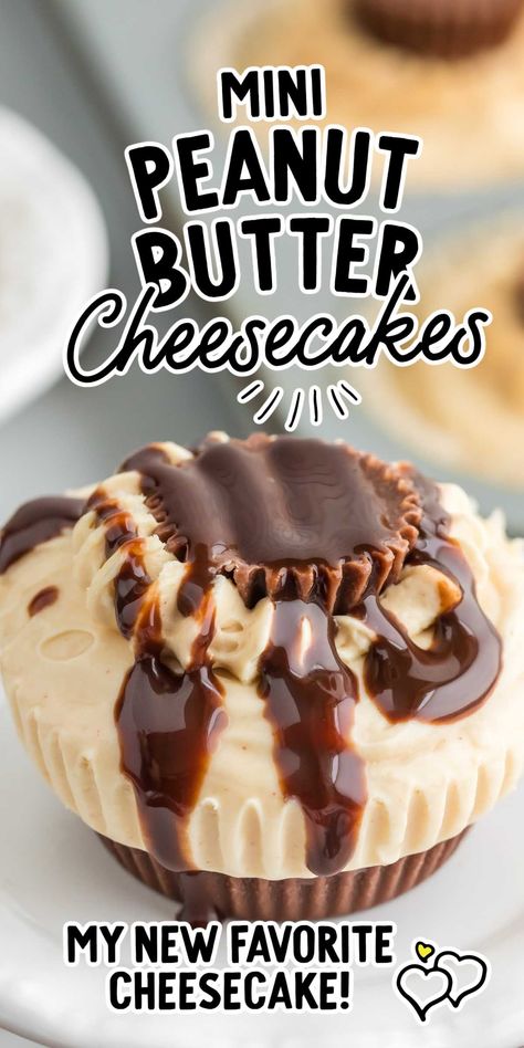 The perfect combination of peanut butter and chocolate makes these mini peanut butter cheesecakes a delicious dessert choice. Mini Peanut Butter Cup Cheesecake, Peanut Butter Mini Cheesecakes, Chocolate Peanut Butter No Bake Cheesecake Bars, No Bake Peanut Butter Cheesecake Bites, Mini Peanut Butter Cheesecake, Reese's Peanut Butter Cheesecake, Peanut Butter Cheesecake Recipes, Icebox Cakes, Peanut Butter Cup Cheesecake